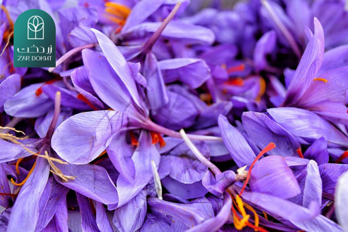 گلبرگ های زعفران در صنعت رنگرزی