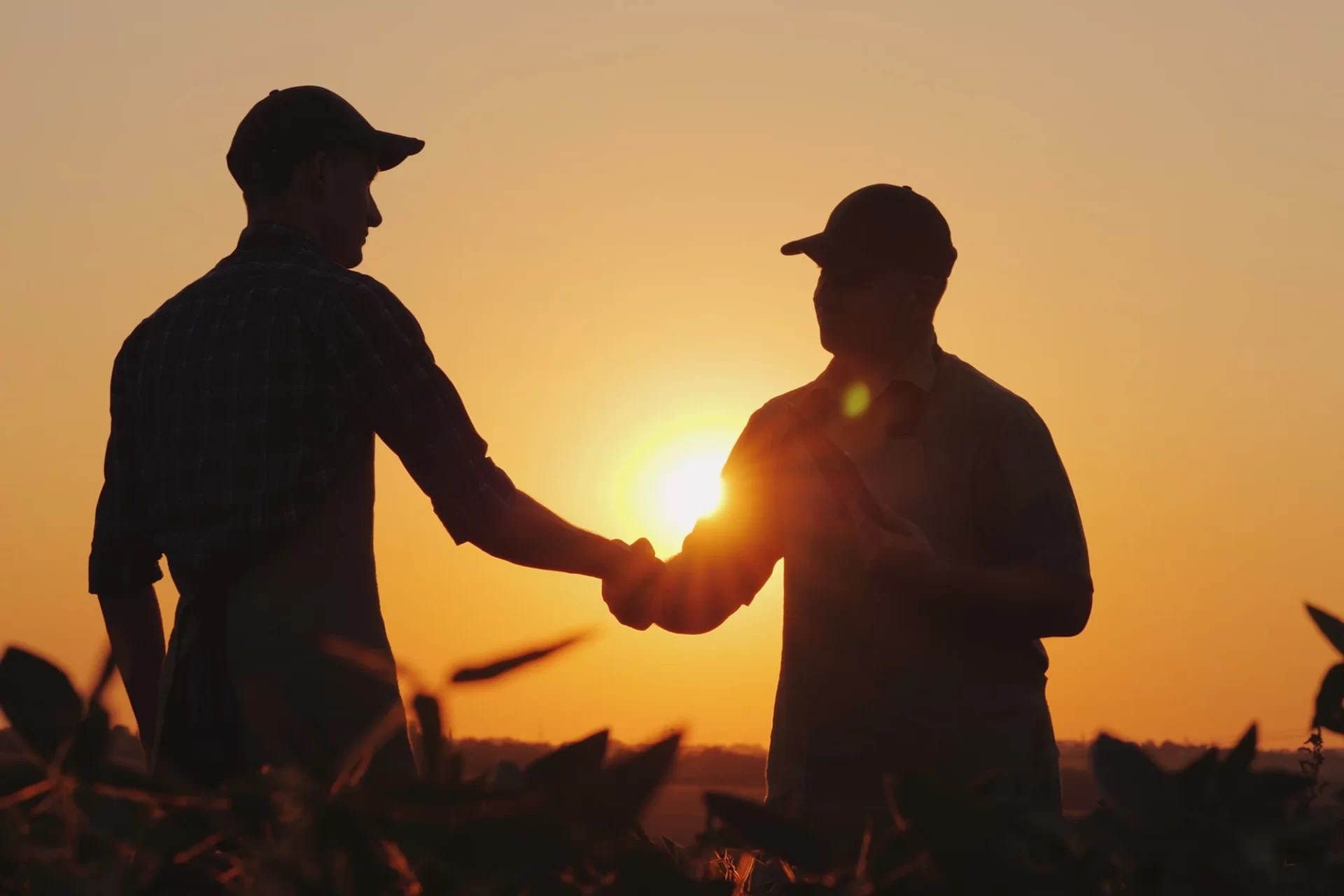 farmers-shaking-hands-in-field